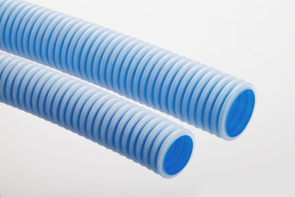 Gaines bleues